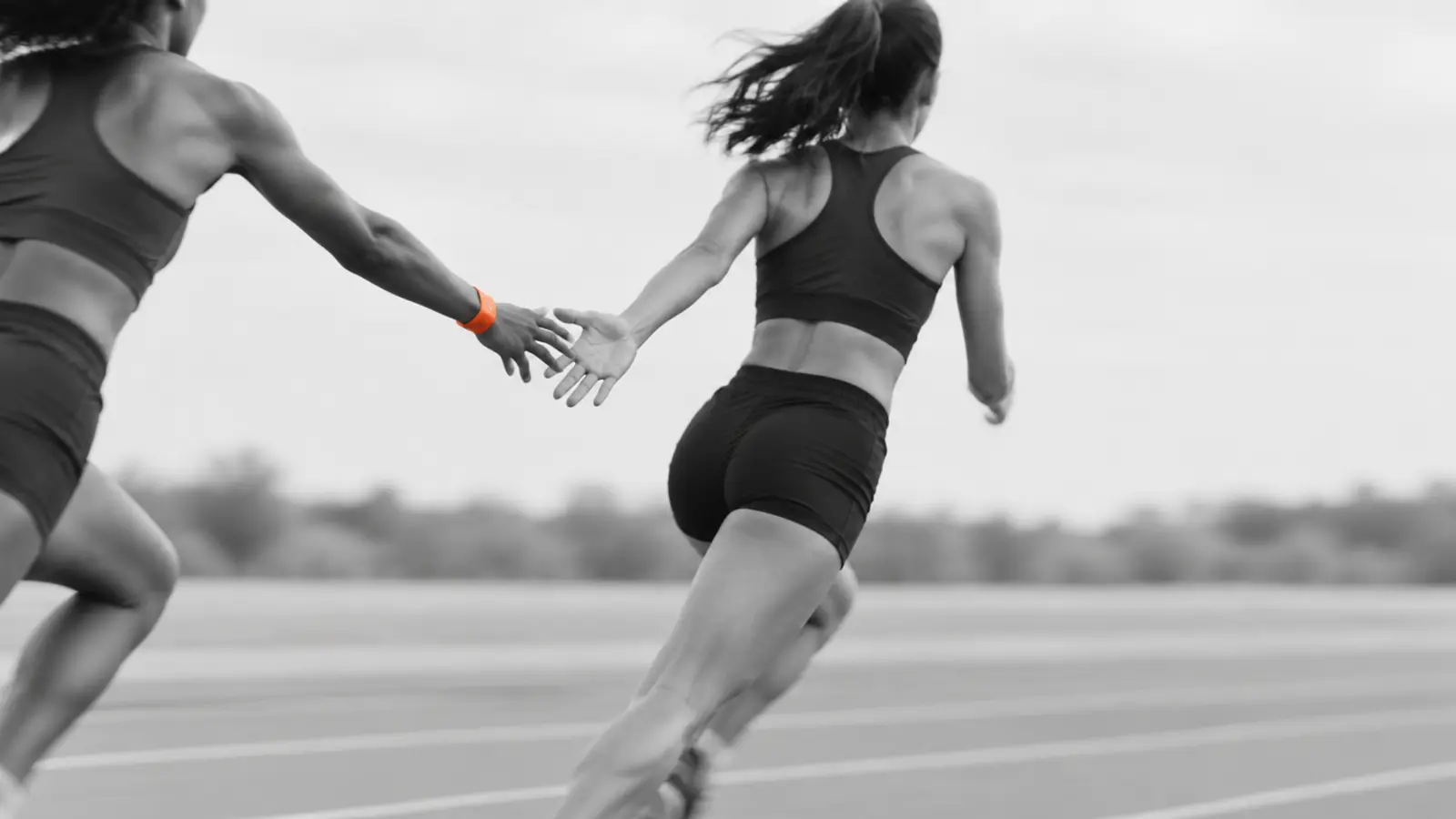 Relay teammates handing over in a race transition zone